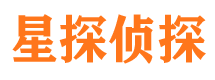 新县侦探公司